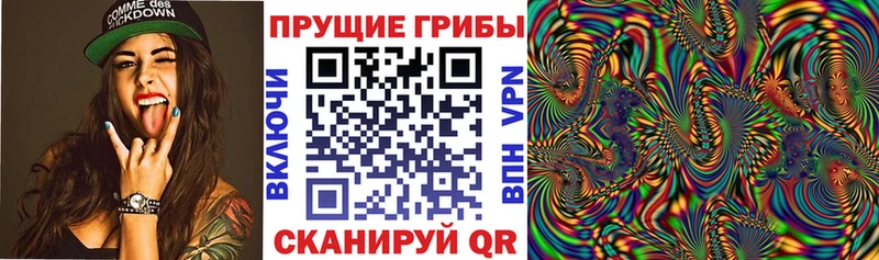 hydra ссылка  купить наркотик  Балашиха  Псилоцибиновые грибы Cubensis 