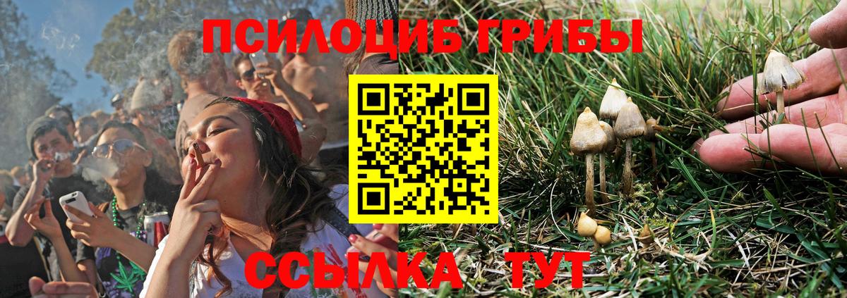 Балашиха  как найти закладки  Вход с VPN  Галлюциногенные грибы Psilocybe 