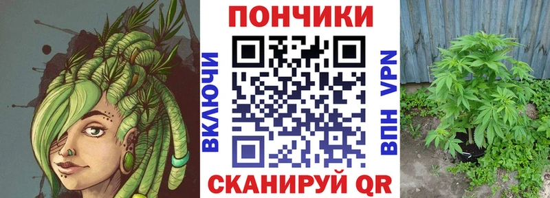 закладки  Балашиха  ссылка на мегу маркетплейс  Конопля LSD WEED 