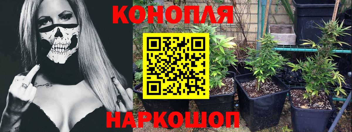 Меф МЯУ МЯУ кристаллы  Балашиха  ГАШ  A-PVP СК кристаллы  Вход с VPN  МДМА  Канабис  Меф МЯУ МЯУ 